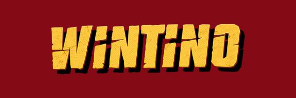 Wintino casino VIP programme promotional banner